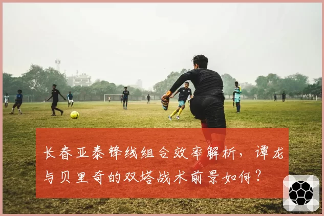 长春亚泰锋线组合效率解析，谭龙与贝里奇的双塔战术前景如何？