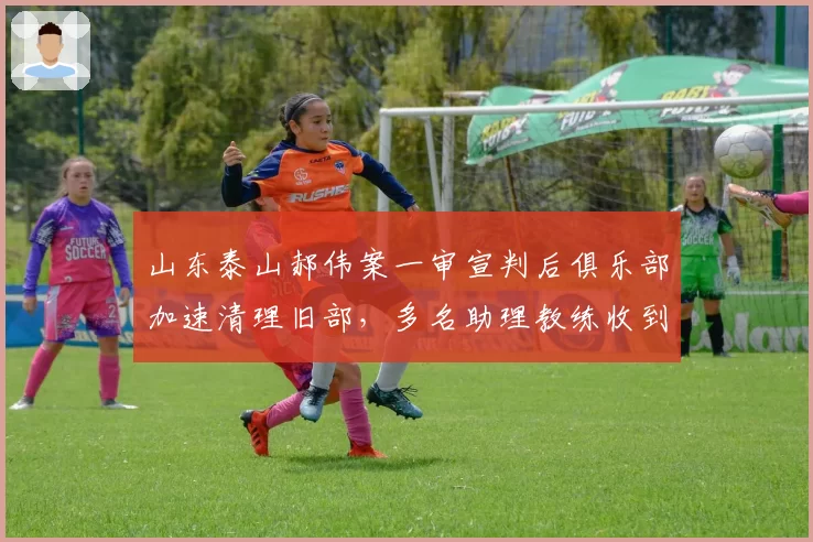 山东泰山郝伟案一审宣判后俱乐部加速清理旧部，多名助理教练收到离队通知